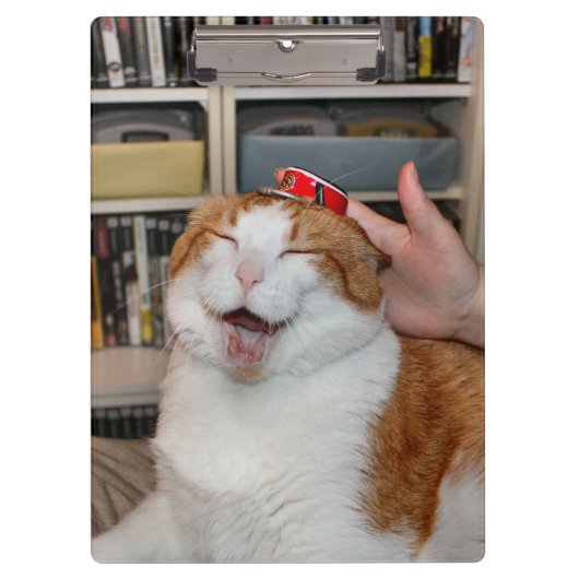 Podgy Scarlet Klemmbrett (Vorderseite)