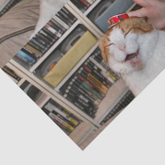 Podgy Scarlett Wrapping Paper Seidenpapier (Detail)