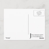 "Pods" JTG Art Postcard Postkarte (Rückseite)