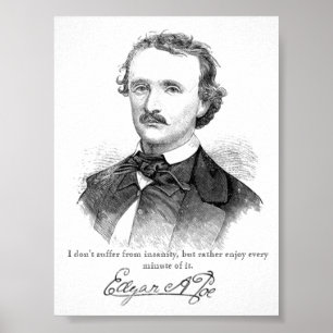 Poe Insanity Print Poster
