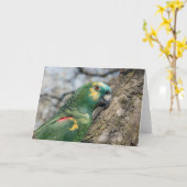 Poe Karte (Gelbe Blume)