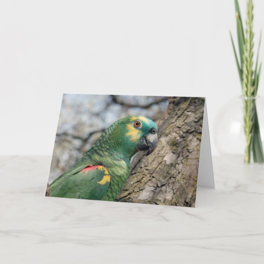 Poe Karte (Vorderseite)