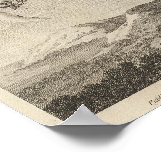 Poebird, Neuseeland Poster (Ecke)