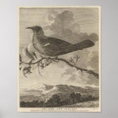 Poebird, Neuseeland Poster (Vorne)