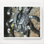 Poecilotheria regalis mousepad (Vorne)