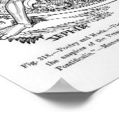 Poesie und Musik Poster (Ecke)