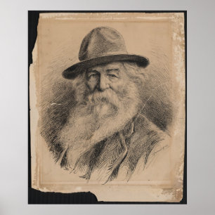 Poet Walt Whitman Portrait von Valerian Gribayedof Poster