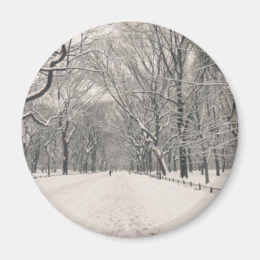 Poet's Walk - Central Park Winter Magnet (Vorne)