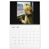Pogona Vitticeps Bartded Dragon Calendar Kalender (Mär 2027)