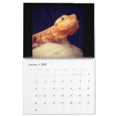 Pogona Vitticeps Bartded Dragon Calendar Kalender (Jan 2027)