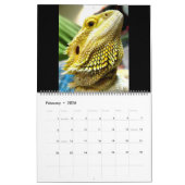 Pogona Vitticeps Bartded Dragon Calendar Kalender (Feb 2026)