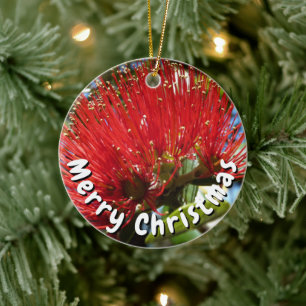 POHUTAKAWA XMAS KIWI CARD KERAMIK ORNAMENT