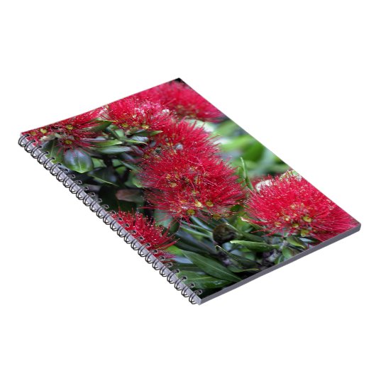 Pohutukawa-Bäume Notizblock (Rechte Seite)