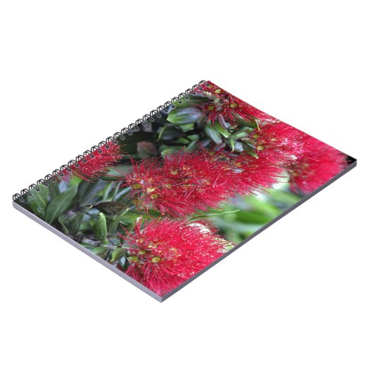 Pohutukawa-Bäume Notizblock (Linke Seite)