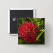 Pohutukawa-Blüte, Dunedin Button (Vorne & Hinten)