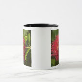 Pohutukawa-Blüte, Dunedin Tasse (Zentrum)