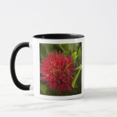 Pohutukawa-Blüte, Dunedin Tasse (Links)