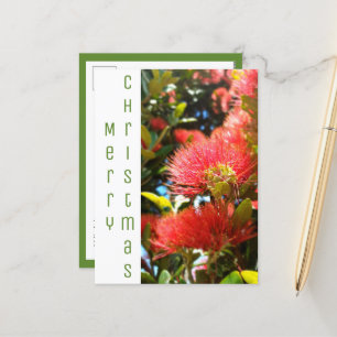 POHUTUKAWA CHRISTMAS BLUME HOLIDAY COMPANY LOGO FEIERTAGSPOSTKARTE