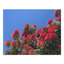 Pohutukawa-Kunstleinwanddruck