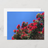 Pohutukawa Postkarte 1 (Vorne/Hinten)