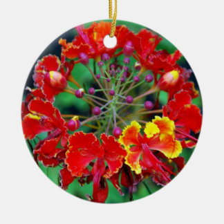 Poinciana (ohai-ali'i) Hawaiianische Blume Ornamen Keramikornament