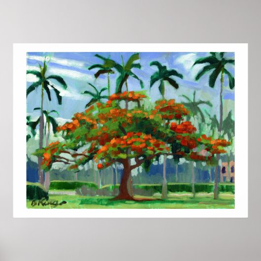 Poinciana-Poster Poster (Vorne)