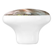 poinée von Tür Photohirsch unter den Wäldern Keramikknauf (Seitenansicht)