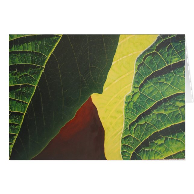 Poinsettia (Vorderseite (Horizontal))