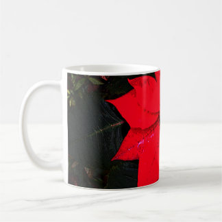 Poinsettia 6078 kaffeetasse