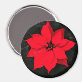 Poinsettia 6078 magnet (Vorderseite/Rückseite)