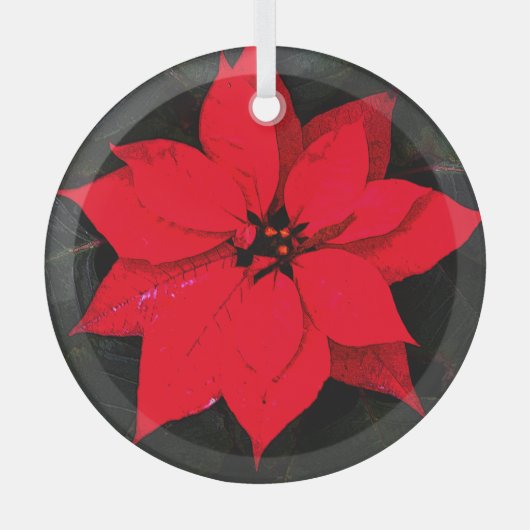 Poinsettia 6078 ornament aus glas (Vorderseite)