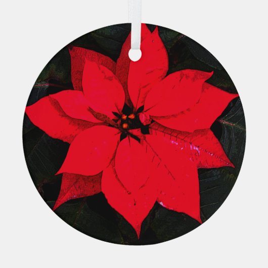 Poinsettia 6078 ornament aus glas (Rückseite)