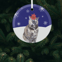 Poinsettia auf der Tortoiseshell Katze mit Snowy H