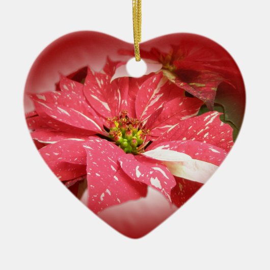 Poinsettia auf Rot Keramikornament (Vorne)