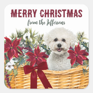 Poinsettia Bichon Frise Dog Weihnachtskorb Quadratischer Aufkleber