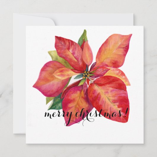 Poinsettia Christmas Card Feiertagskarte (Vorderseite)