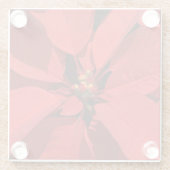 Poinsettia Christmas Flower Glasuntersetzer (Rückseite)