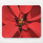 Poinsettia Christmas Flower Mousepad (Vorne)