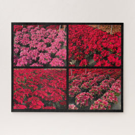 Poinsettia Christmas Greenhouse Red Pink Puzzle