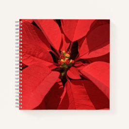 Poinsettia Christmas Journal Notizblock