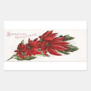 Poinsettia Dezember Geburtstag Rechteckiger Aufkle Aufkleber