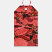 Poinsettia Elegant Custom Christmas Geschenkanhänger (Rückseite)