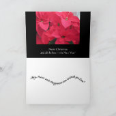 Poinsettia Feiertagskarte (Innenseite)