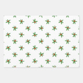 Poinsettia Festive Mexican Christmas Geschenkpapier Set (Vorderseite 2)