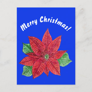 Poinsettia - Frohe Weihnachts-Postkarte - Blau Postkarte