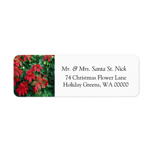 Poinsettia Frohe Weihnachtskarte E-Mail Labels (Vorne)