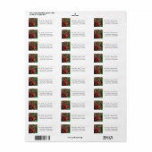 Poinsettia Frohe Weihnachtskarte E-Mail Labels (Vorne)