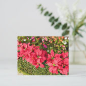 Poinsettia Garden Postkarte (Stehend Vorderseite)