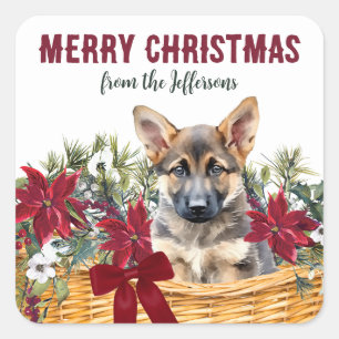 Poinsettia German Shepherd Christmas Basket Quadratischer Aufkleber