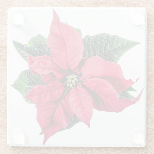 Poinsettia Glasuntersetzer (Rückseite)